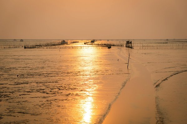 Exploring Scottish Borders Holiday Rentals: Ultimate Guide to Textile Mill Visits and Memorable Accommodations