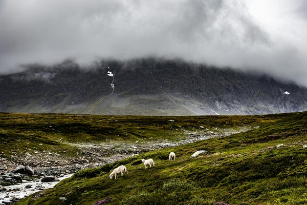 Uncovering the secrets of historic shipwrecks: your complete guide to embarking on a uk cruise adventure
